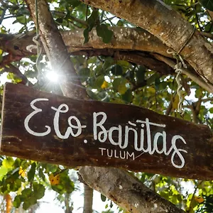 https://cobanitas.allrivieramayahotels.com
