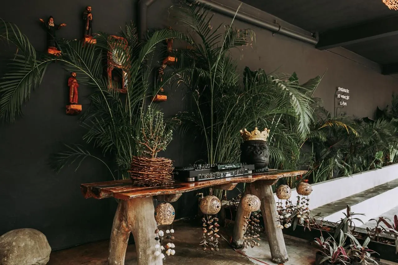 Shambalam Hostel Tulum 0*,