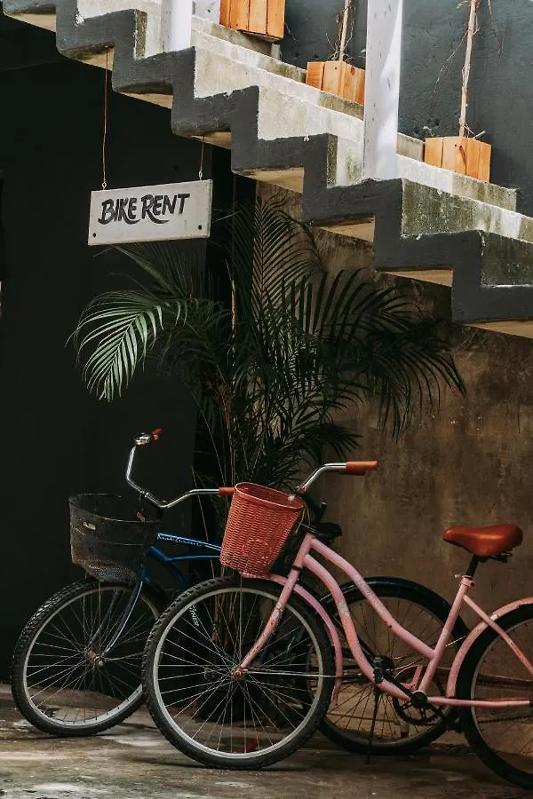 Shambalam Hostel Tulum 0*,